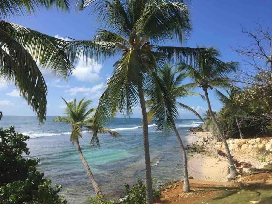 Villa Ti Bleu Caraibes 8 Personnes A St Francois Saint-Francois  Zewnętrze zdjęcie